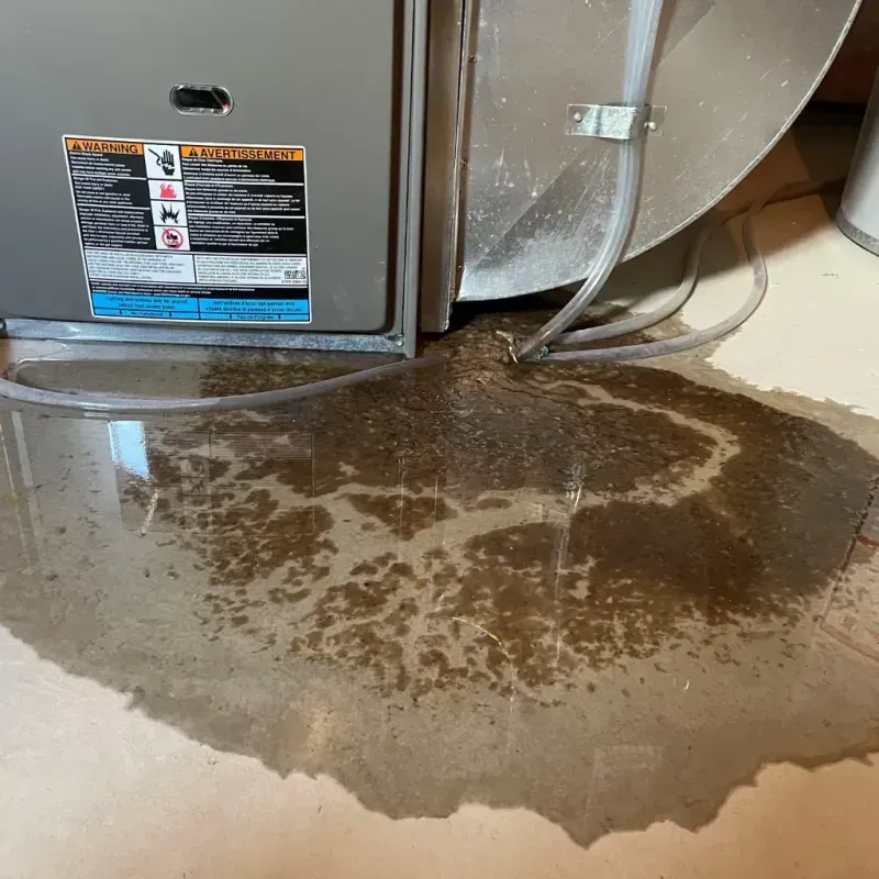 Appliance Leak Cleanup in Midway, TN